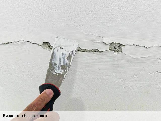 Réparation fissure murs  94480