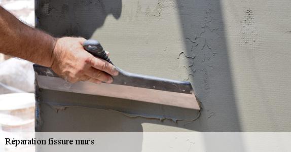 Réparation fissure murs  94480