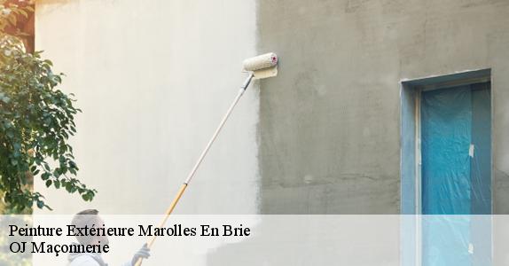 Peinture Extérieure  94440